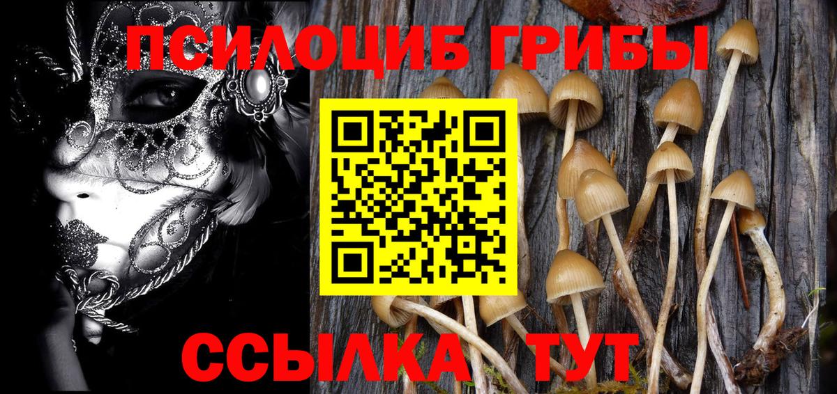 Лабинск  Галлюциногенные грибы Psilocybe  Вход с VPN 