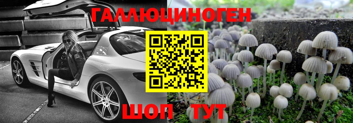 Псилоцибиновые грибы MAGIC MUSHROOMS Лабинск